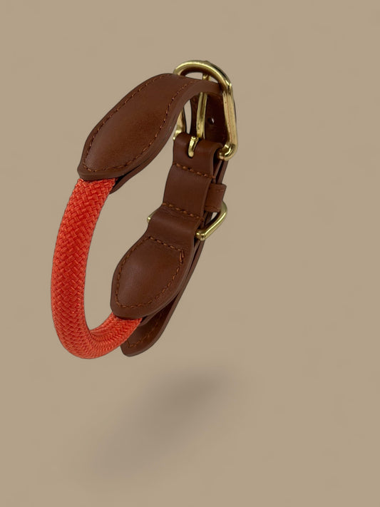 Bjorken™ collar - Orange