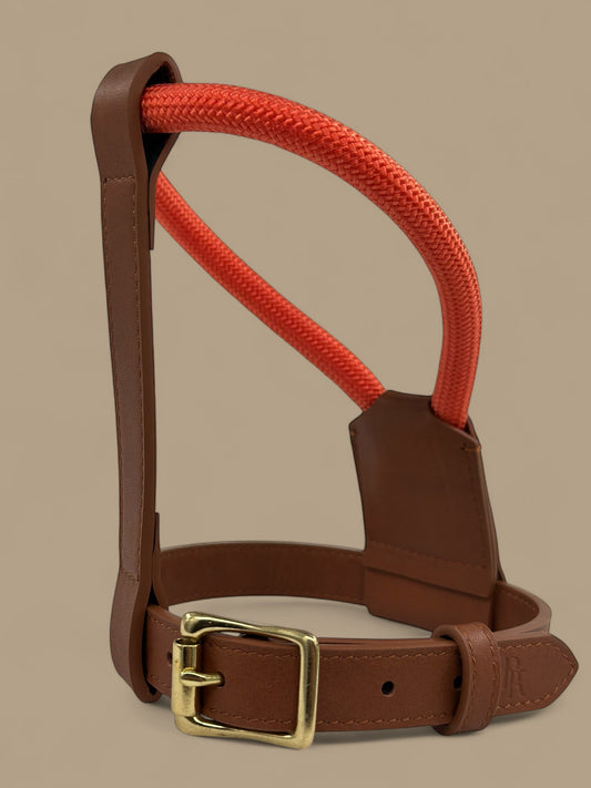 Bjorken™ harness - Orange