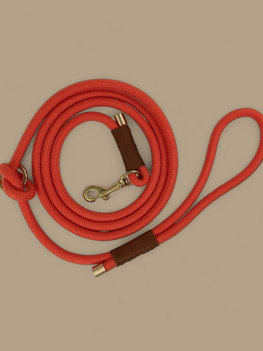 Bjorken™ dog leash - Orange