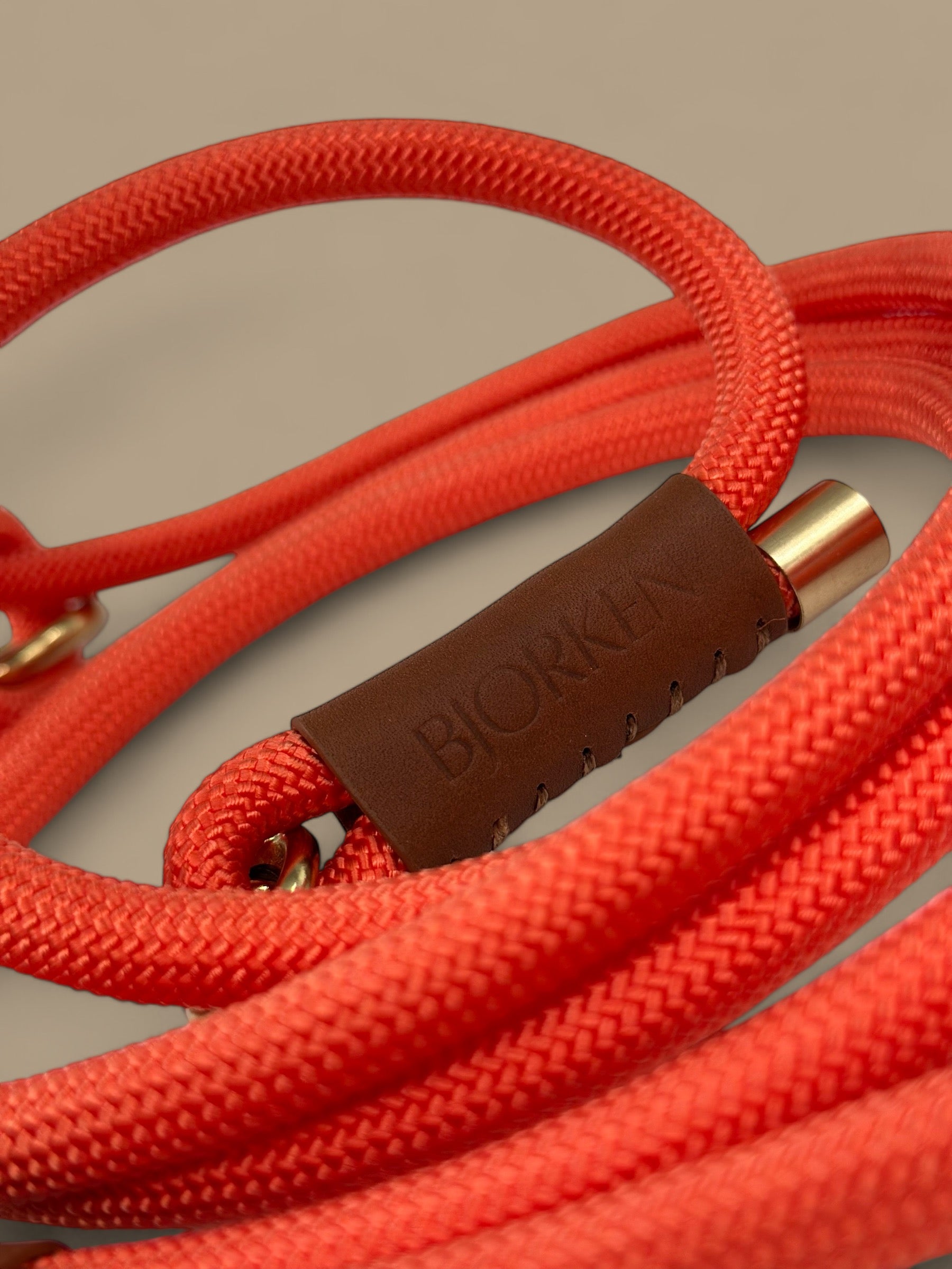 Bjorken™ dog leash - Orange