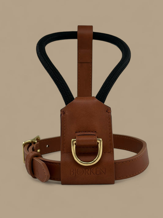 Bjorken™ Harness - Black