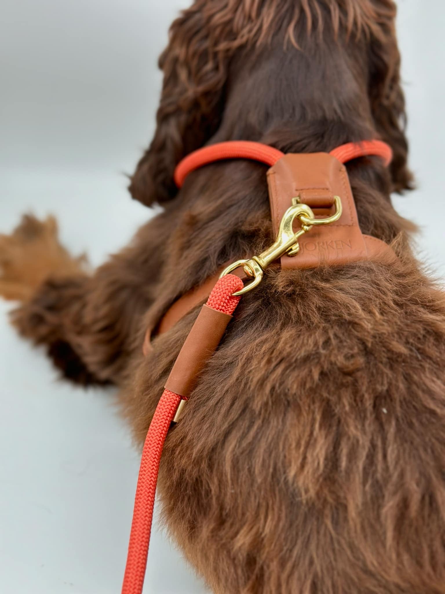 Bjorken™ harness - Orange