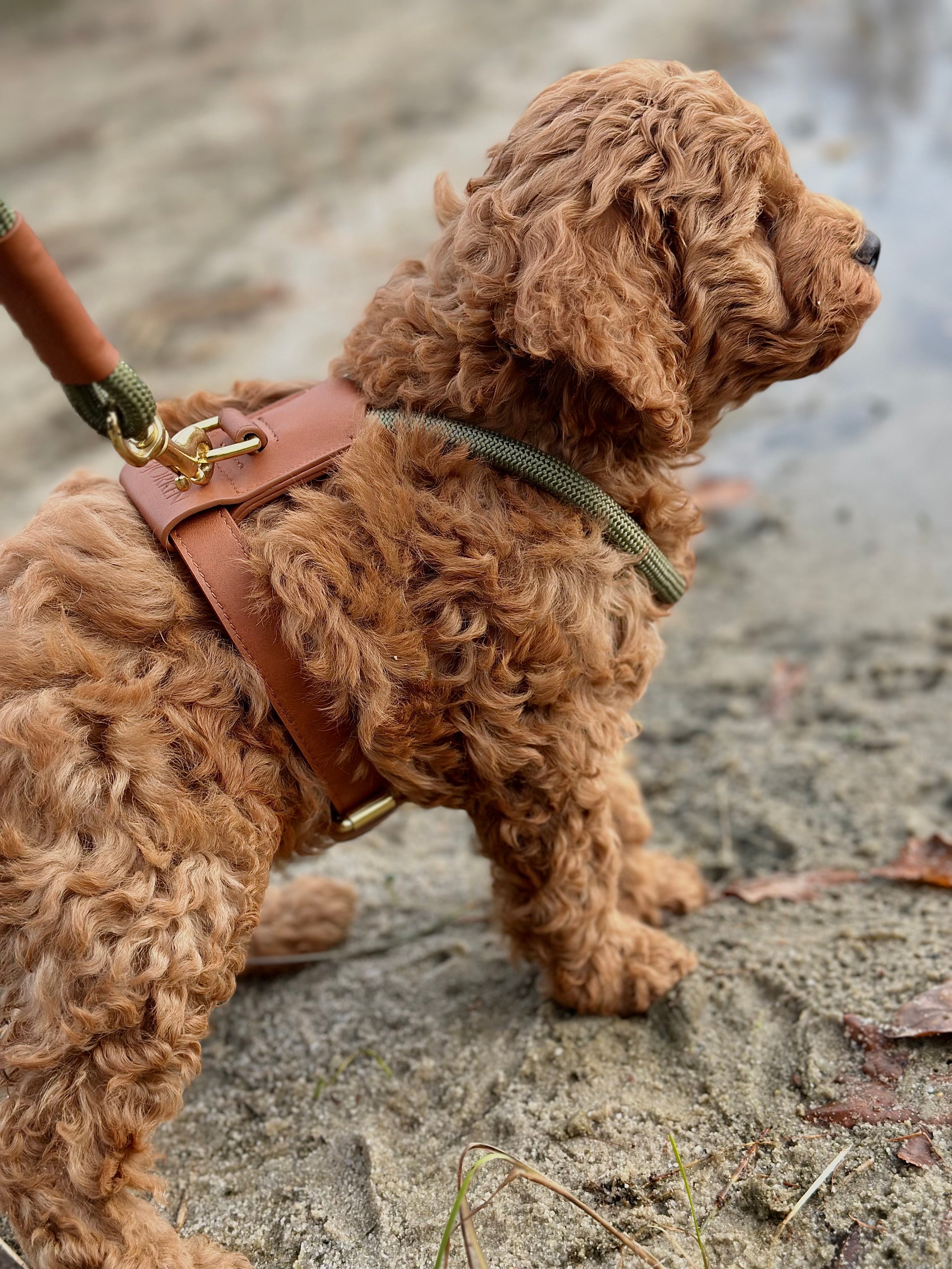 Bjorken™ harness - Olive